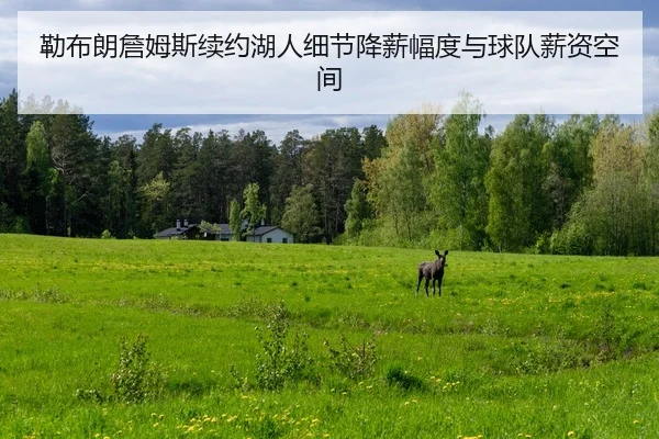 勒布朗詹姆斯续约湖人细节降薪幅度与球队薪资空间