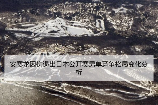 安赛龙因伤退出日本公开赛男单竞争格局变化分析